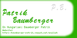 patrik baumberger business card